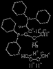 (S, S) -1-Dicyclohexylphosphino-2- [1- (Dicyclohexylphosphino) Ethyl] Ferrocene
